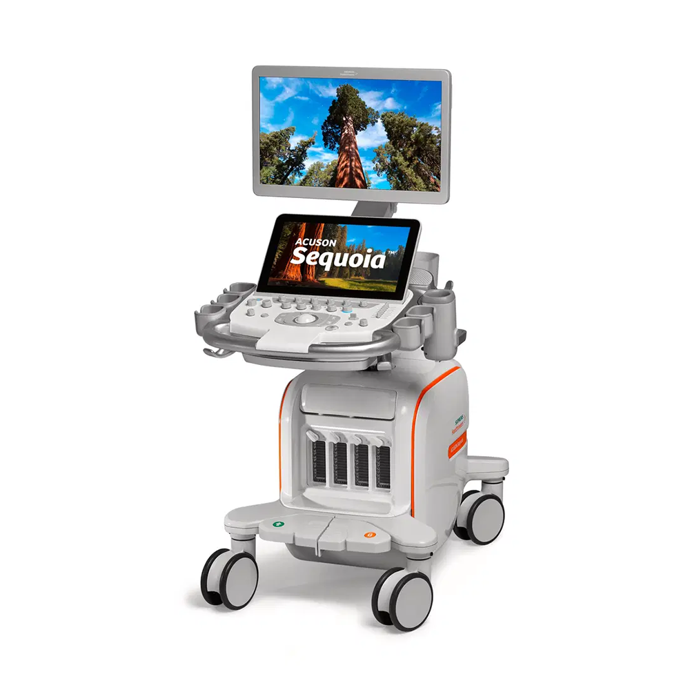 sequoia vierkant.jpg